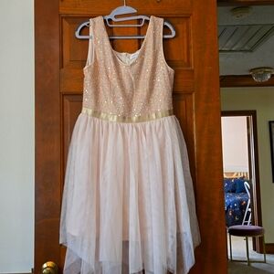 Sequined tulle dress. NEVER WORN.